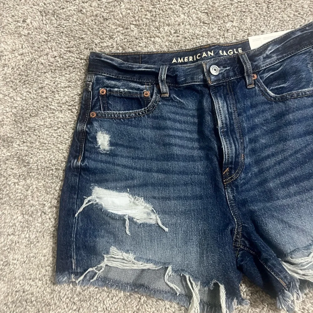 AE 90s Boyfriend Shorts - Picture 4 of 12